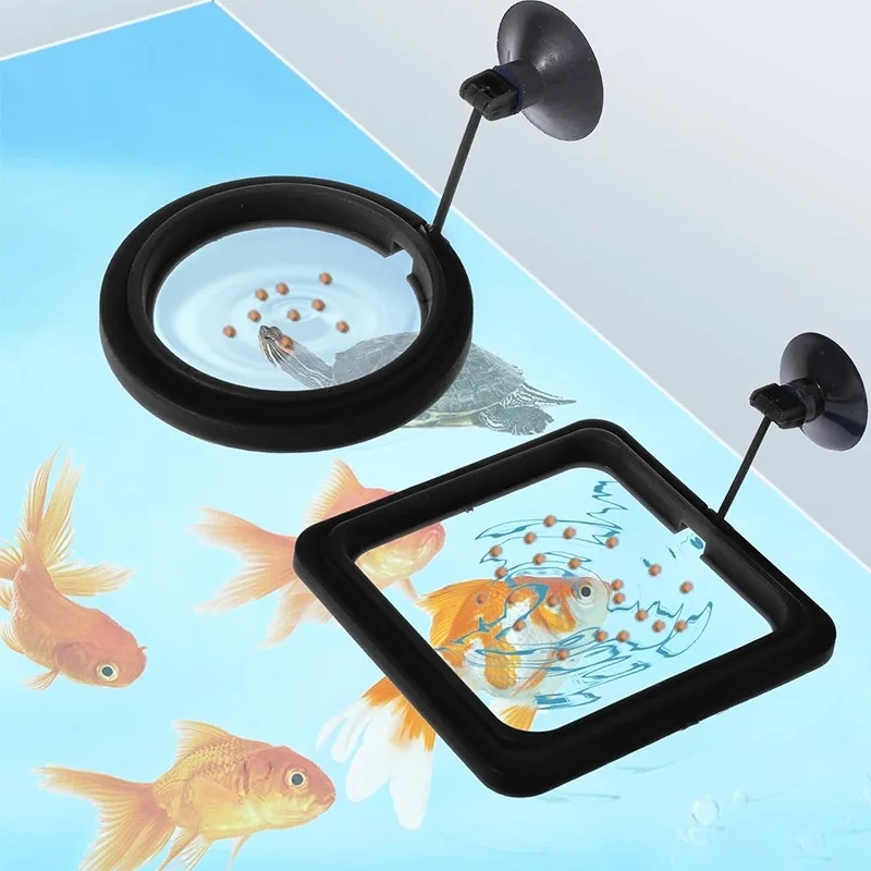 Aquarium Fish Medicine - Anello per l'alimentazione dell'acquario, stazione per