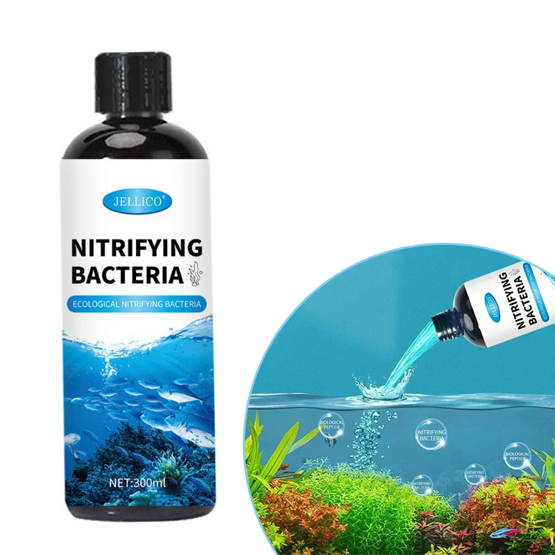 Aquarium Fish Medicine - Batteri nitrificanti Depuratore d'acqua liquido per
