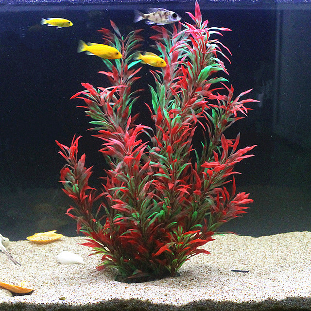 Aquarium Fish Land - 50CM Acquario artificiale Piante rare Acquario