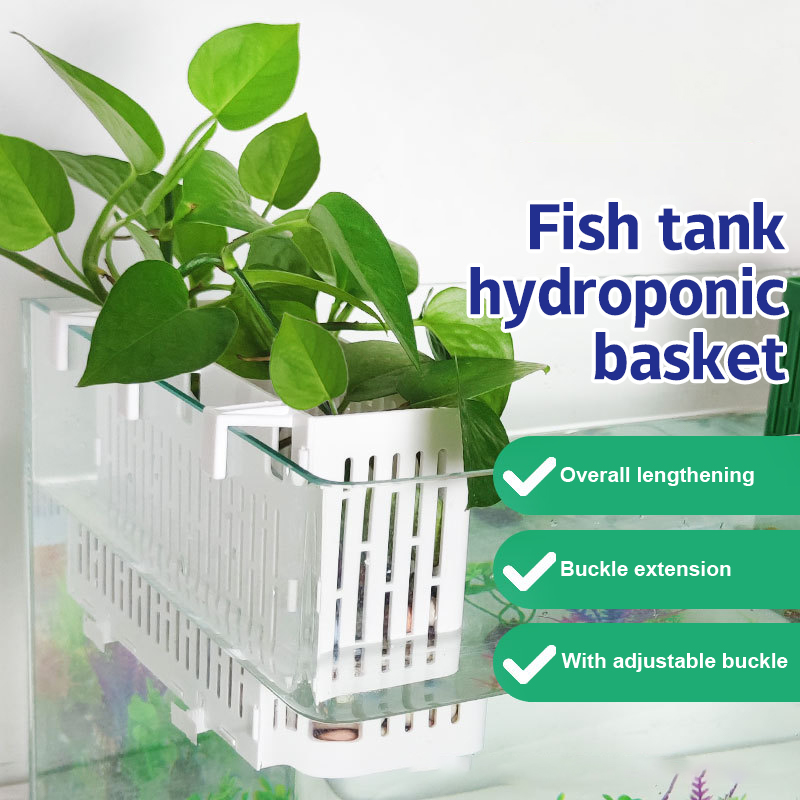 Aquarium Fish Land - 【F】Porta-piante sospeso per acquario, cestino idroponico