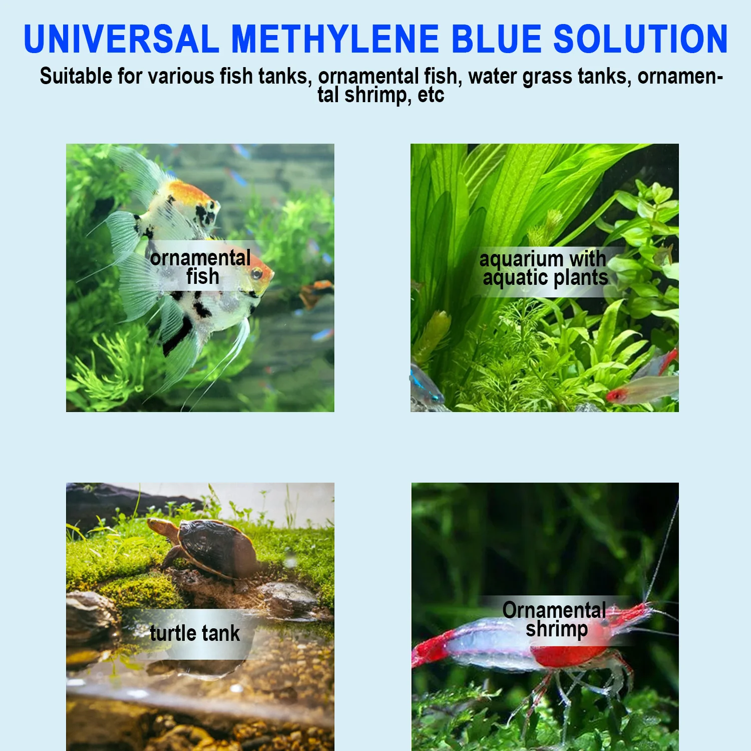 Blu di Metilene per il trattam - Aquarium Fish Medicine recensione e prezzo