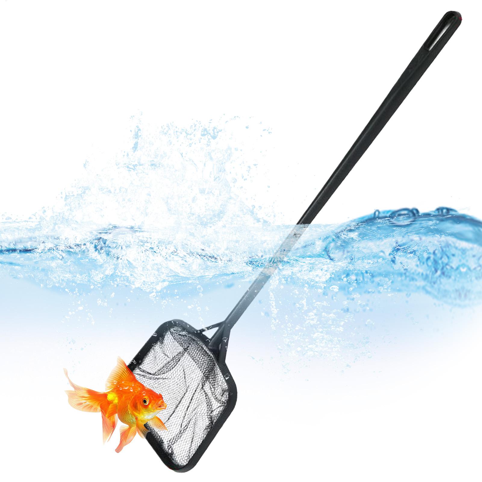 Reti per la Pulizia della Pisc - Aquarium Fish Buy recensione e prezzo