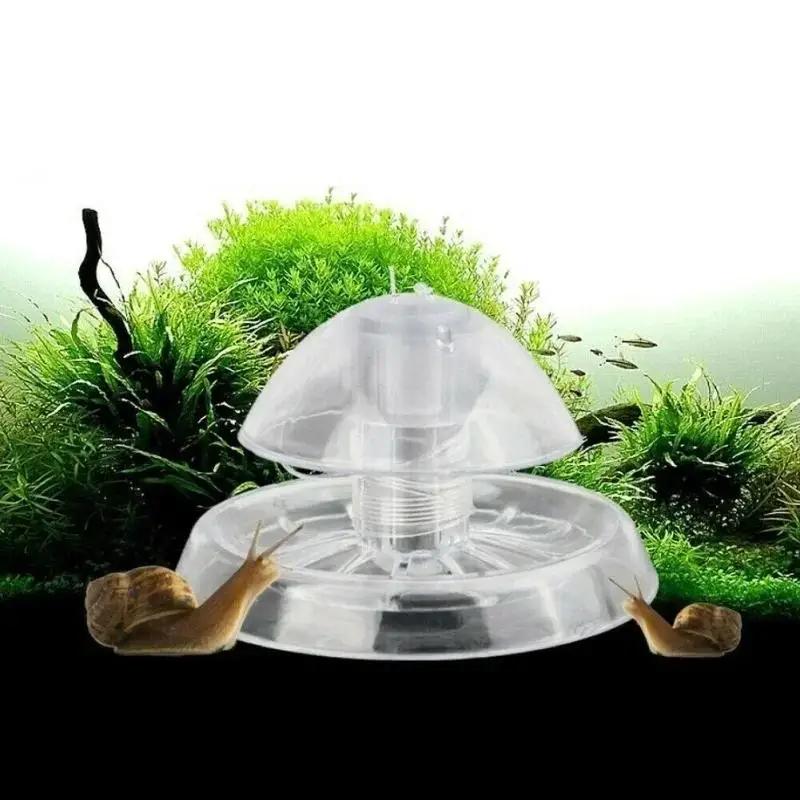 Nuova Trappola per Lumache in  - Aquarium Fish Land recensione e prezzo
