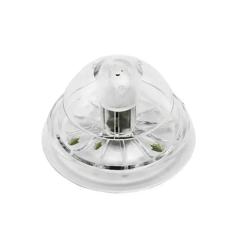 Nuova Trappola per Lumache in  - Aquarium Fish Land recensione e prezzo