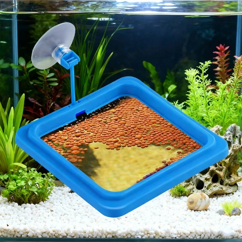 Anello per l'alimentazione del - Aquarium Fish Medicine recensione e prezzo