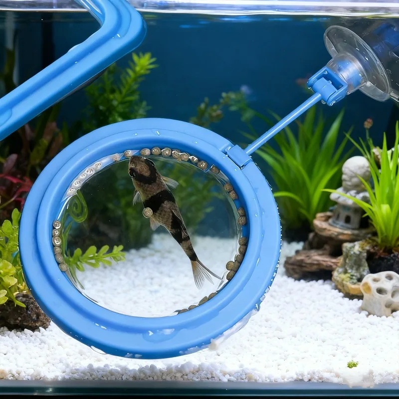Anello per l'alimentazione del - Aquarium Fish Medicine recensione e prezzo
