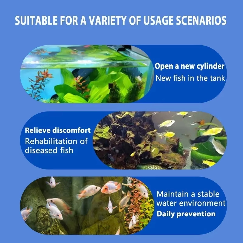 SIKEZHAN Trattamento malattie  - Aquarium Fish Medicine recensione e prezzo