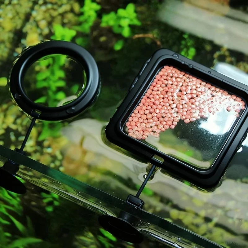 1/3 pezzi Anello per l'aliment - Aquarium Fish Medicine recensione e prezzo