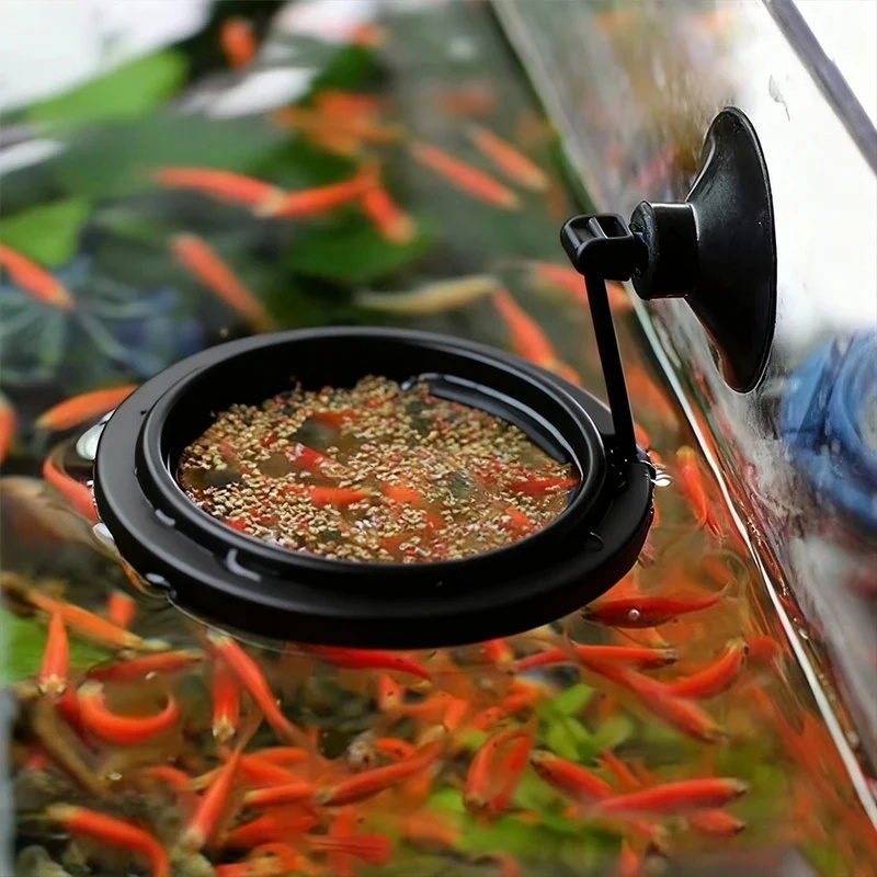1/3 pezzi Anello per l'aliment - Aquarium Fish Medicine recensione e prezzo