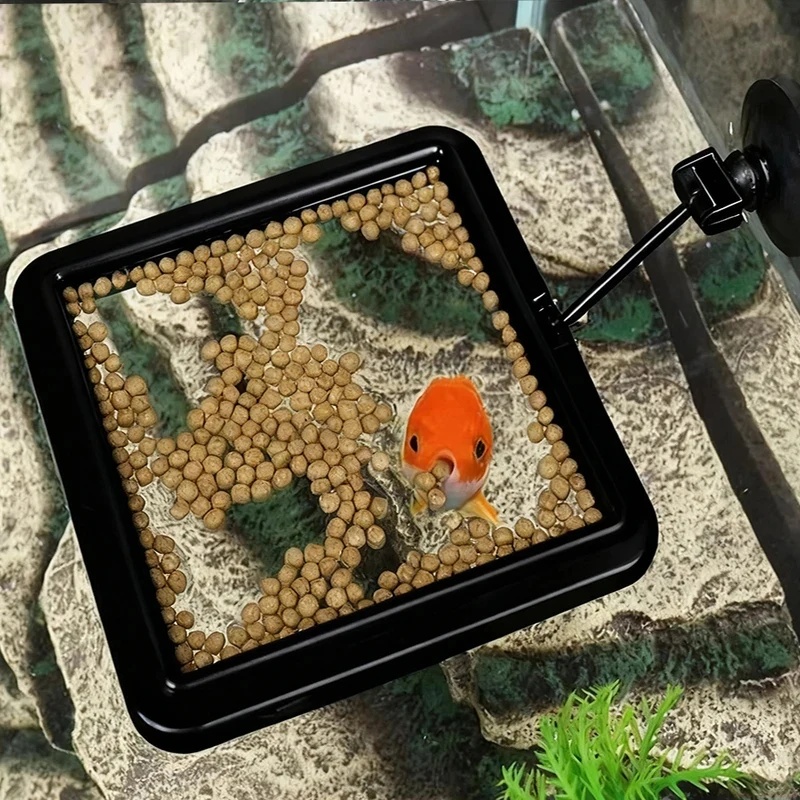1/3 pezzi Anello per l'aliment - Aquarium Fish Medicine recensione e prezzo