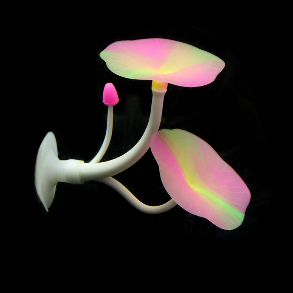Amaca in silicone a forma di c - Aquarium Fish Land recensione e prezzo