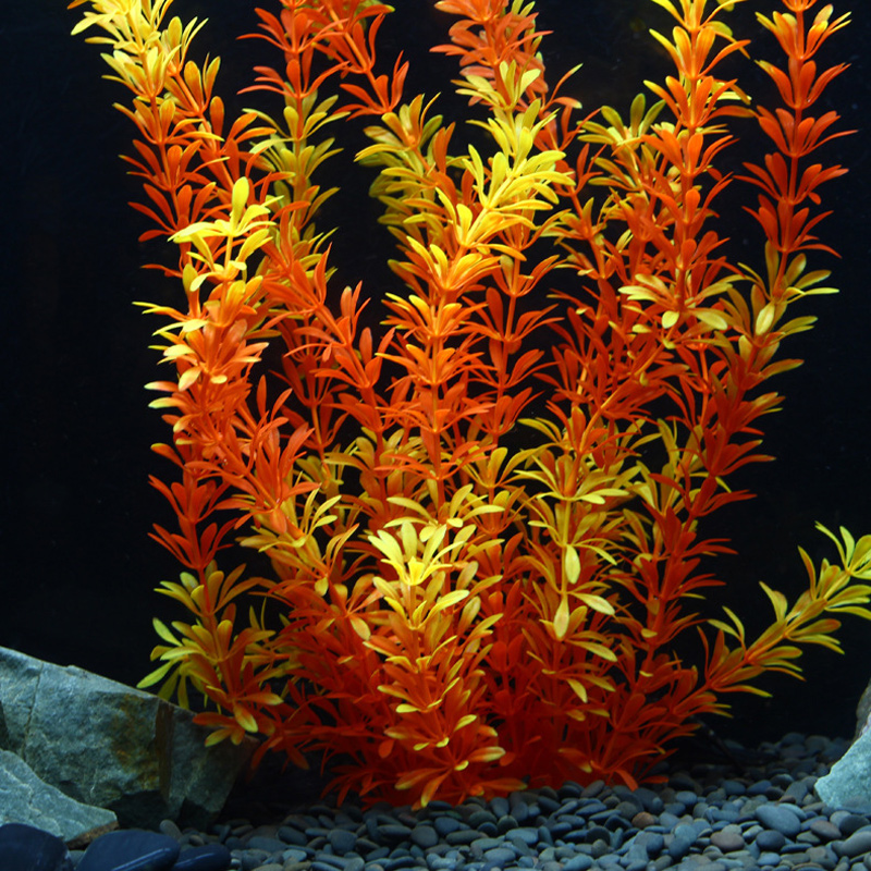 Piante Tropicali Artificiali d - Aquarium Fish Land recensione e prezzo