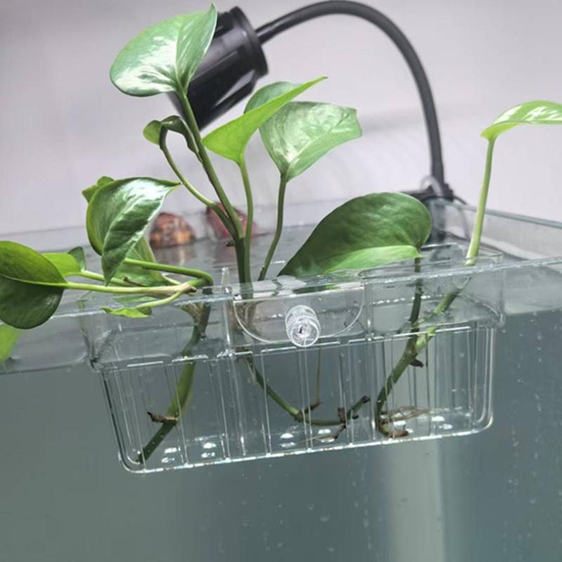 Cestino per Piante Idroponiche - Aquarium Fish Usa recensione e prezzo