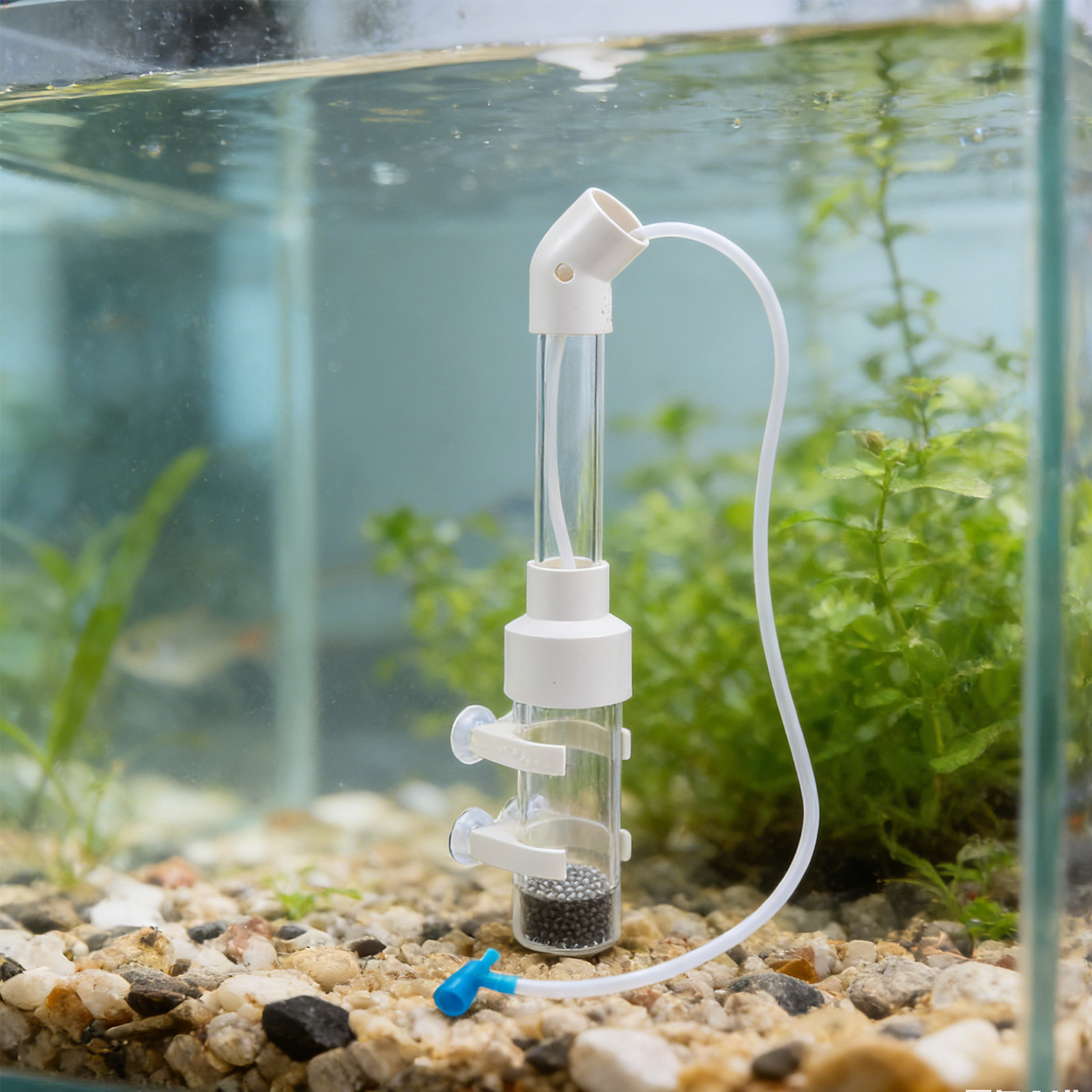 2 set di kit incubatore per uo - Aquarium Fish Usa recensione e prezzo