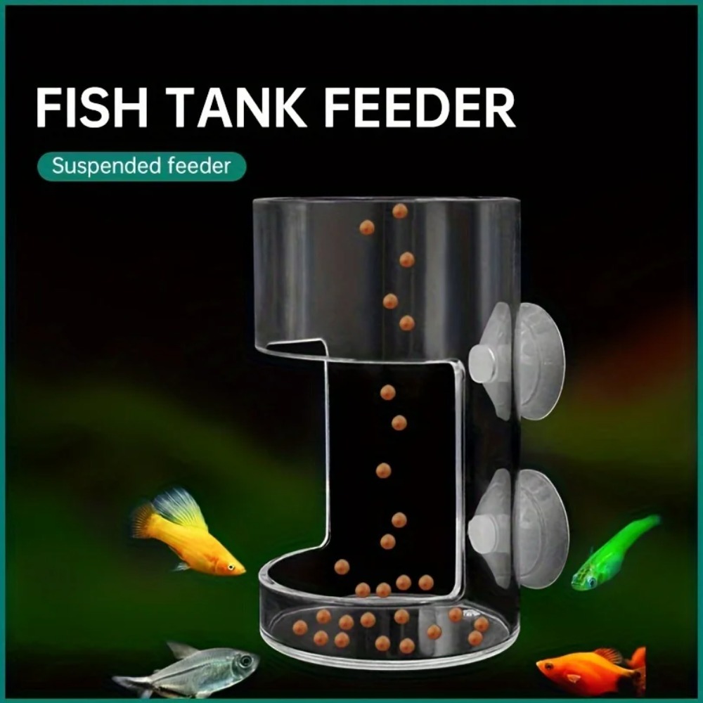 Anello Alimentatore Antiscivol - Aquarium Fish Medicine recensione e prezzo