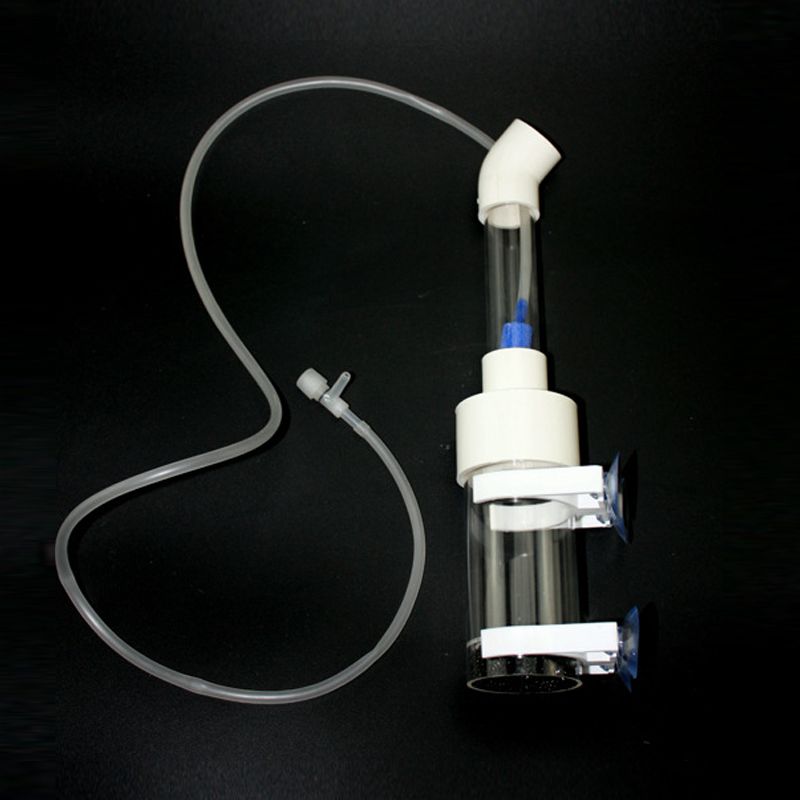 Incubatrice per Uova di Ciclid - Aquarium Fish Usa recensione e prezzo