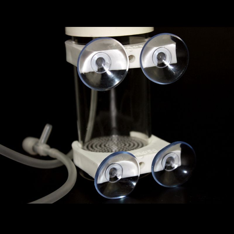 Incubatrice per Uova di Ciclid - Aquarium Fish Usa recensione e prezzo