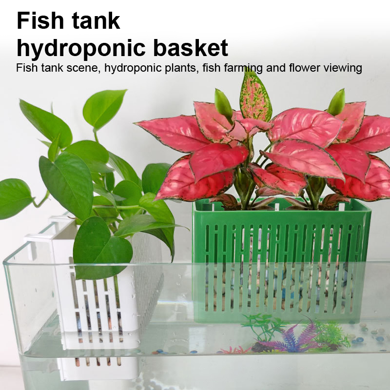 【F】Porta-piante sospeso per ac - Aquarium Fish Land recensione e prezzo