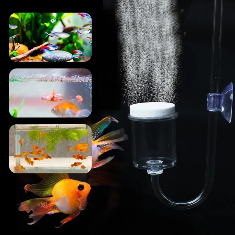 Set da 4 pezzi diffusore di CO - Aquarium Fish Buy recensione e prezzo